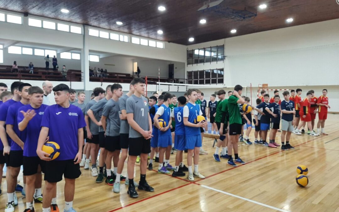 Županijska završnica u odbojci