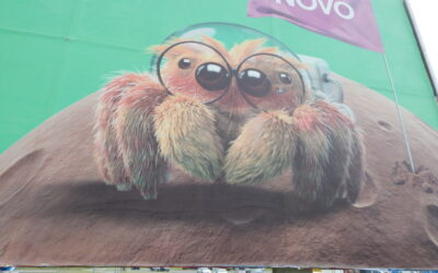 Može li se povezati biologija, mitologija i etimologija: Slučaj pauka i Arahne