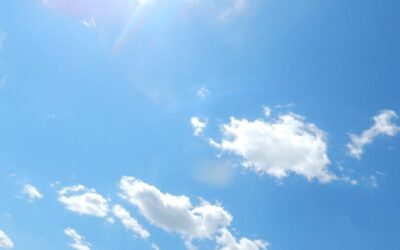 Povratak u šumu: Obilježavanje Dana Sunca kroz terensku nastavu