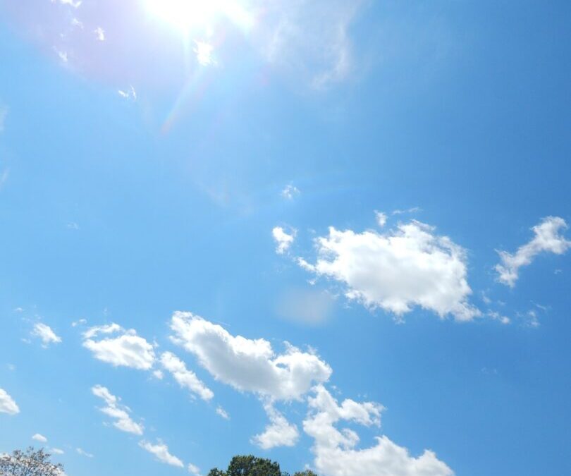 Povratak u šumu: Obilježavanje Dana Sunca kroz terensku nastavu